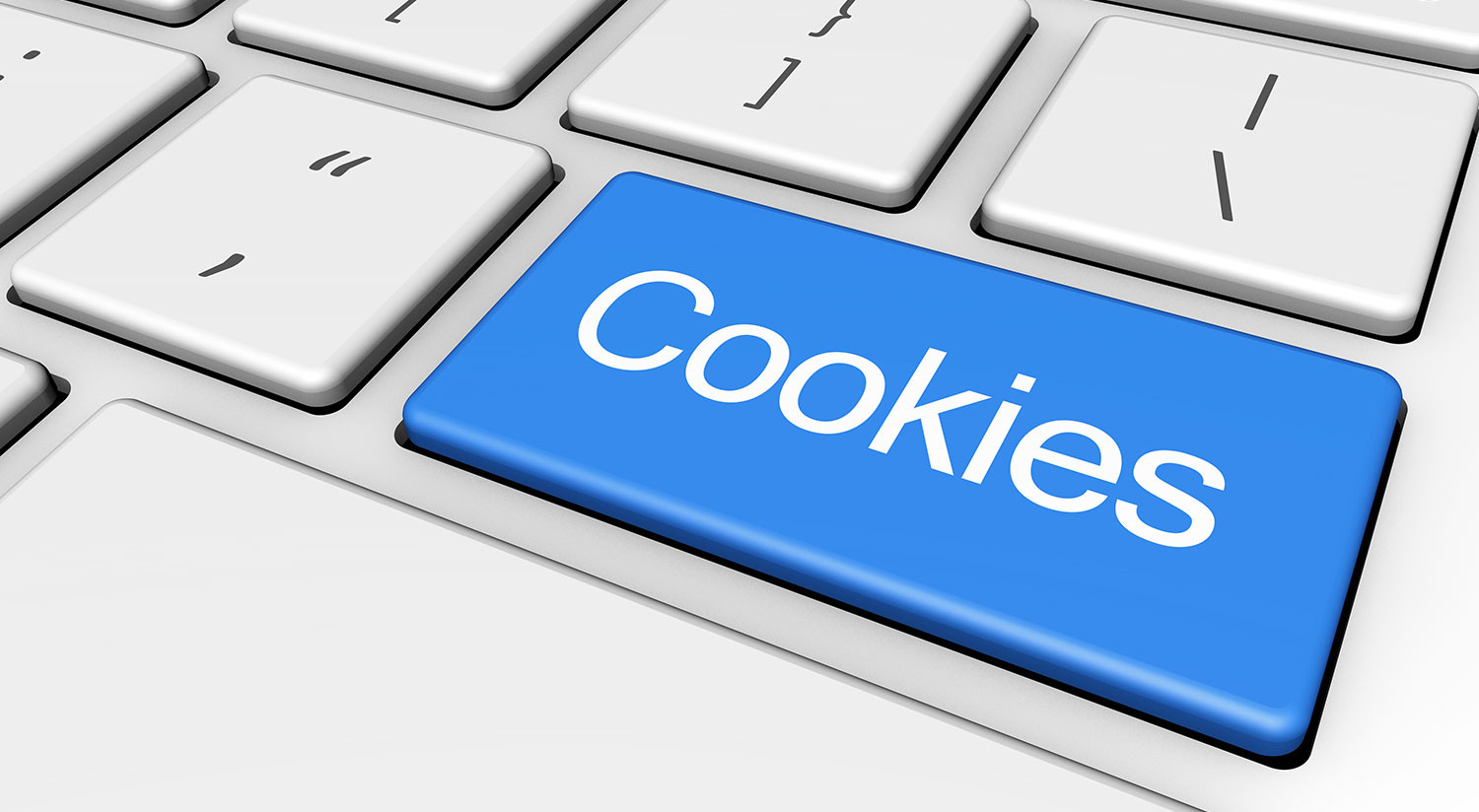 Website Cookie Policy for Motel 6 Hickory