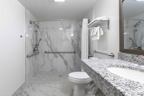 2 Double Accessible Room Bathroom